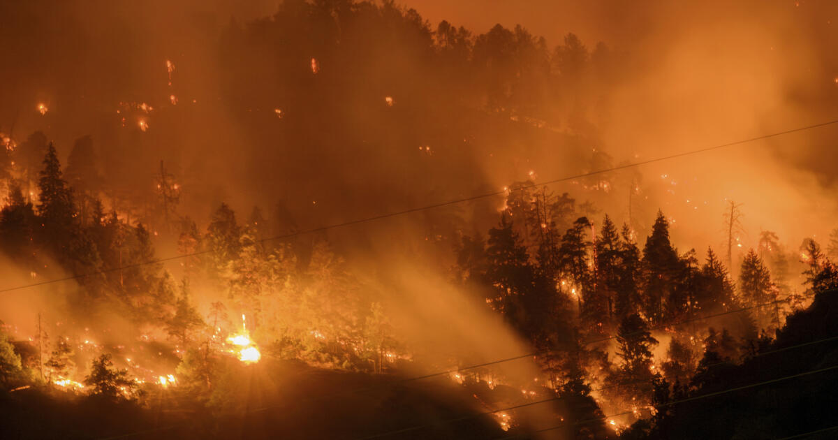 La Suisse lutte contre un énorme incendie de forêt dans les Alpes !