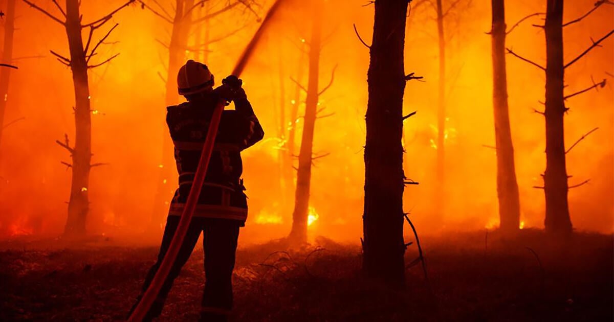 Environ 500 pompiers combattent un incendie de forêt dans le sud de la France