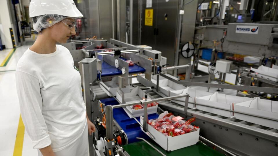 Syráreň Bel Slovensko a.s. Michalovce vo štvrtok 12. januára 2023 spustila prevádzku rozšírenia výrobnej jednotky syrov Mini Babybel. Závod v Michalovciach zamestnáva takmer 600 zamestnancov. Člen skupiny Bel, ktorý vyrába ikonické medzinárodné značky ako Veselá krava od roku 2006 a Mini Babybel od roku 2008, prináša do Michaloviec 20 nových pracovných miest spolu s investíciou 4,5 miliónov EUR do rozšírenia výrobnej jednotky Mini Babybel, aby zvýšil ponuku syra, ktorý milujú zákazníci na Sloven