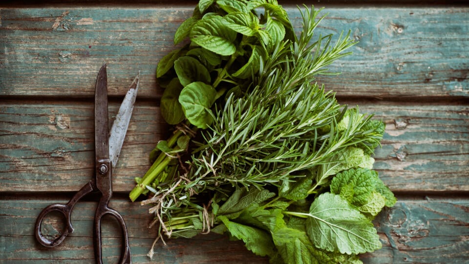 Fresh,Herbs.,Melissa,,Rosemary,And,Mint,In,Rustic,Setting