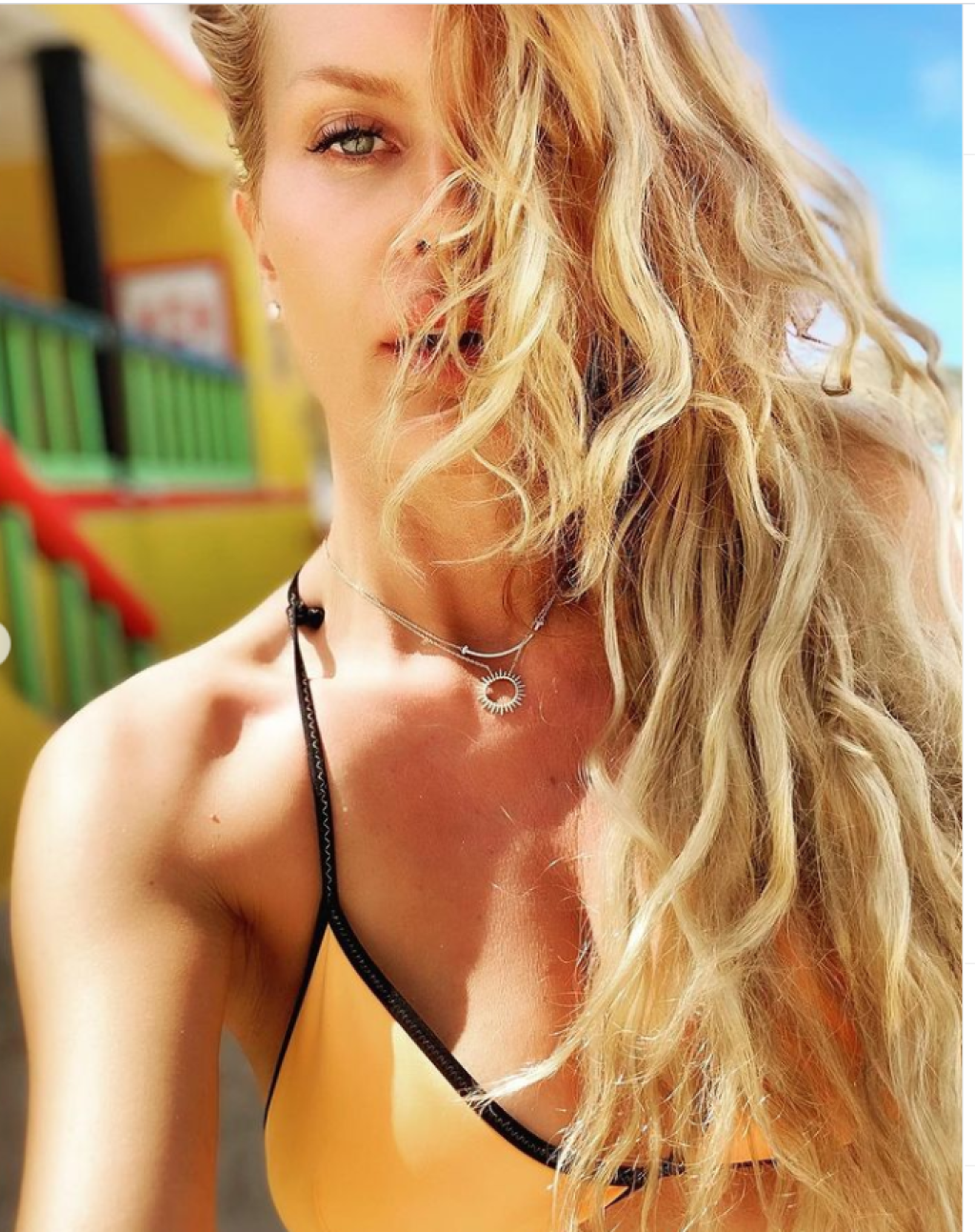 Simona Krainová