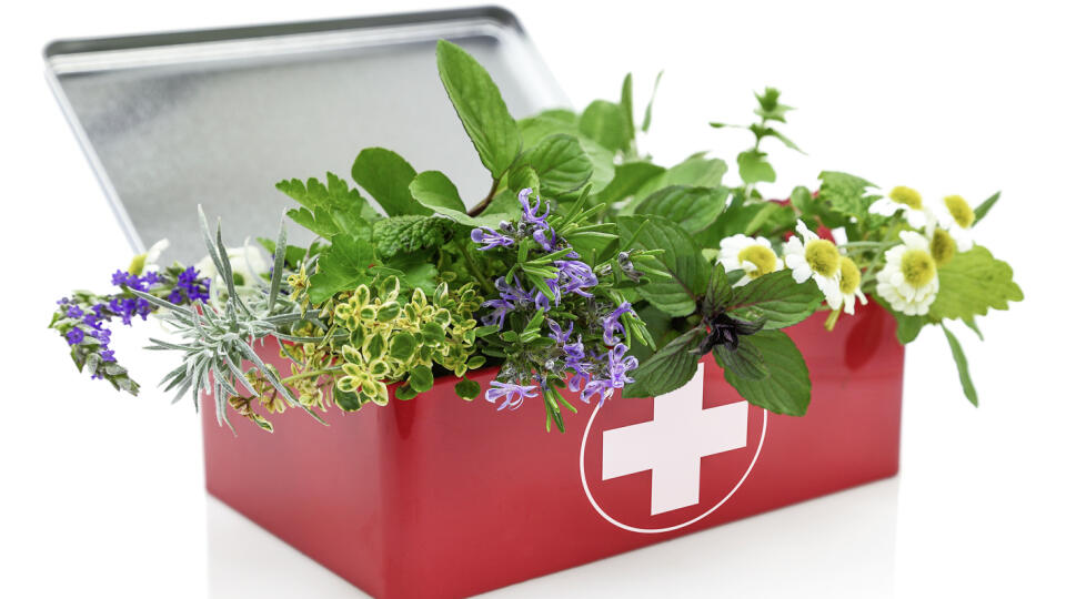 Fresh herbs in first aid kit