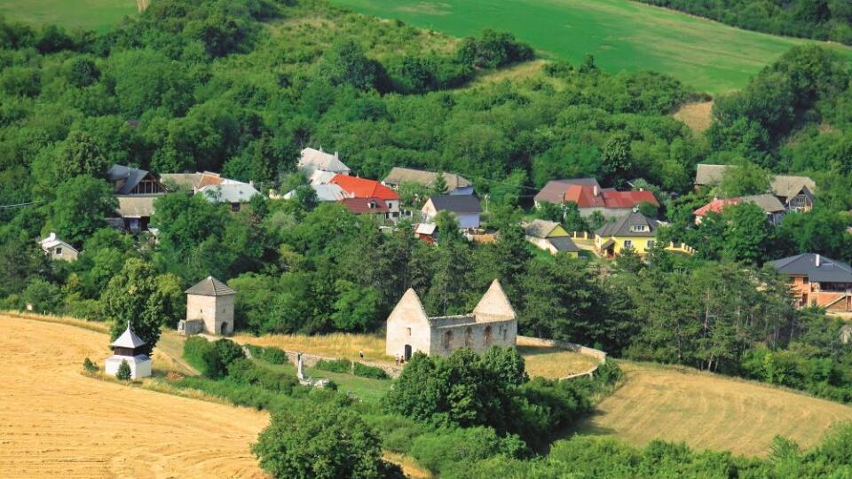 Haluzice sú neveľká obec pri
Novom Meste nad Váhom.