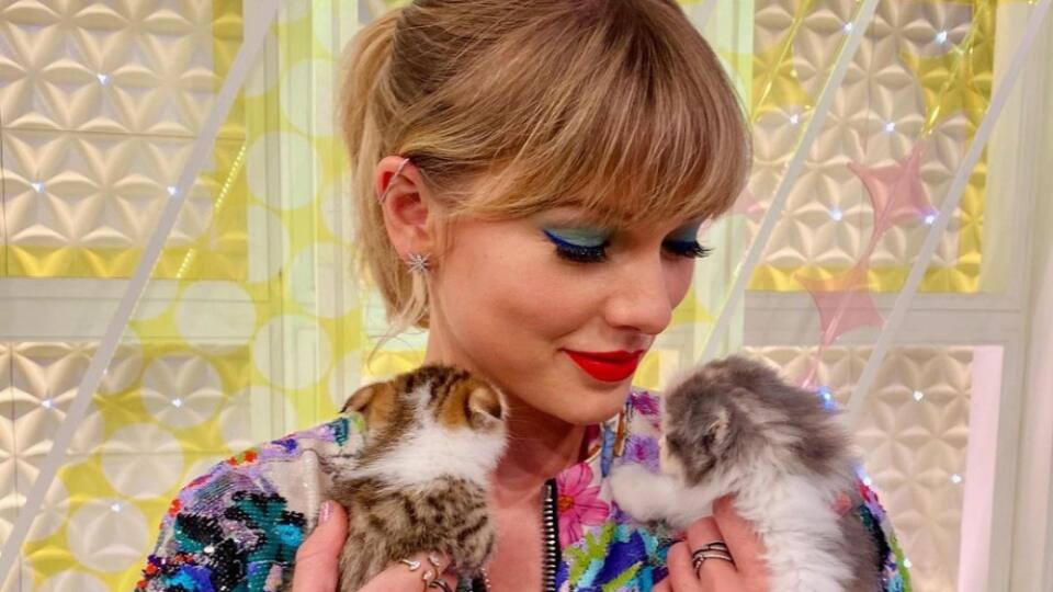 Taylor Swift si mačky adoptovala. A čovy? Máte ich radi alebo neznášate? Kvíz si v každom prípade môžete urobiť!