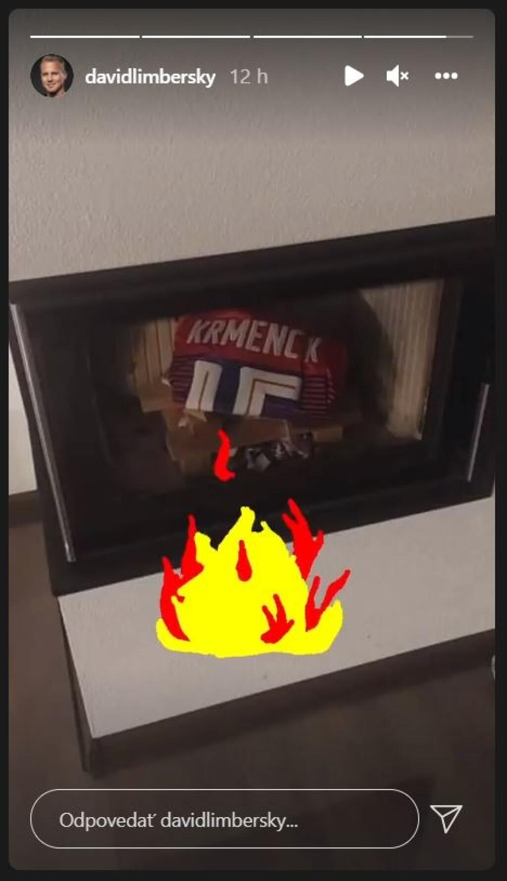 David Limberský naložil Krmenčíkovi na instagrame.