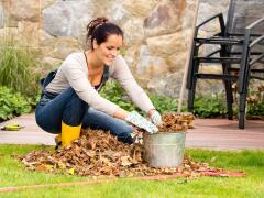 TRI skvelé jesenné TIPY, ako môžete využiť čas EFEKTÍVNE: Prospeje to vám aj vašej záhrade!