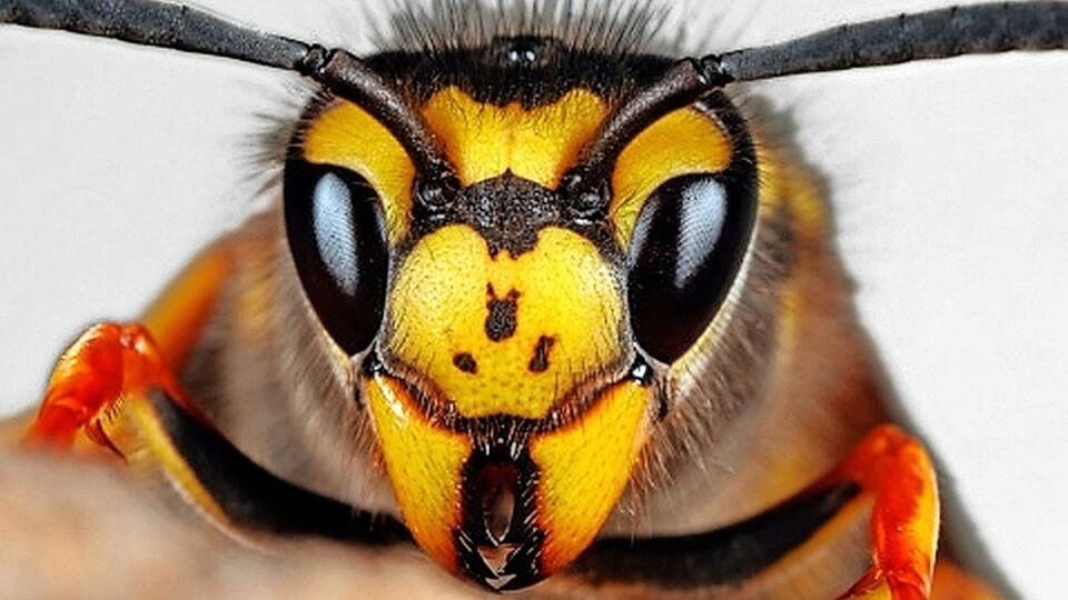 Ilustračná fotografia