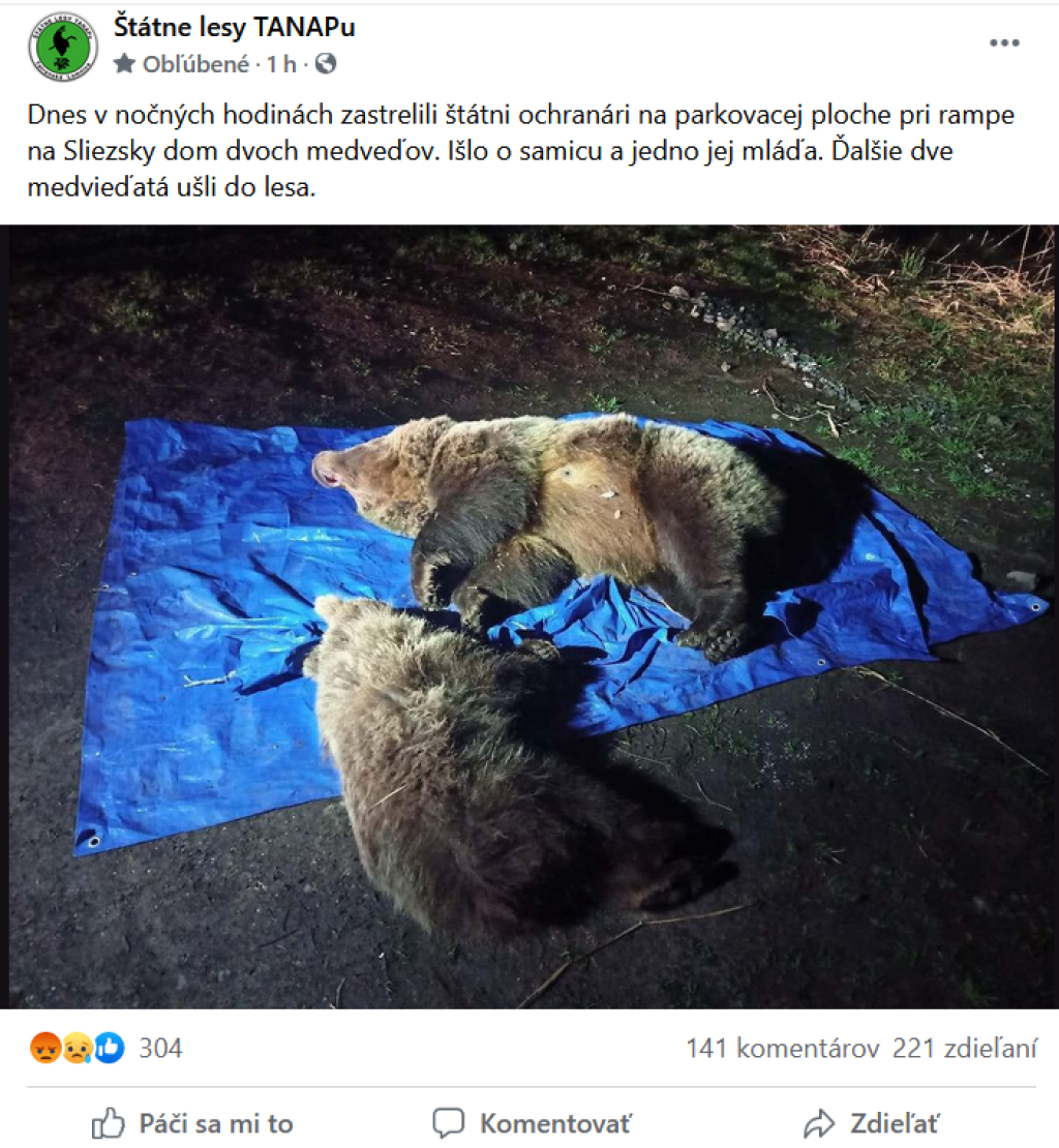 Reakcie na usmrtenie medvedice a jej medvieďatka sú búrlivé