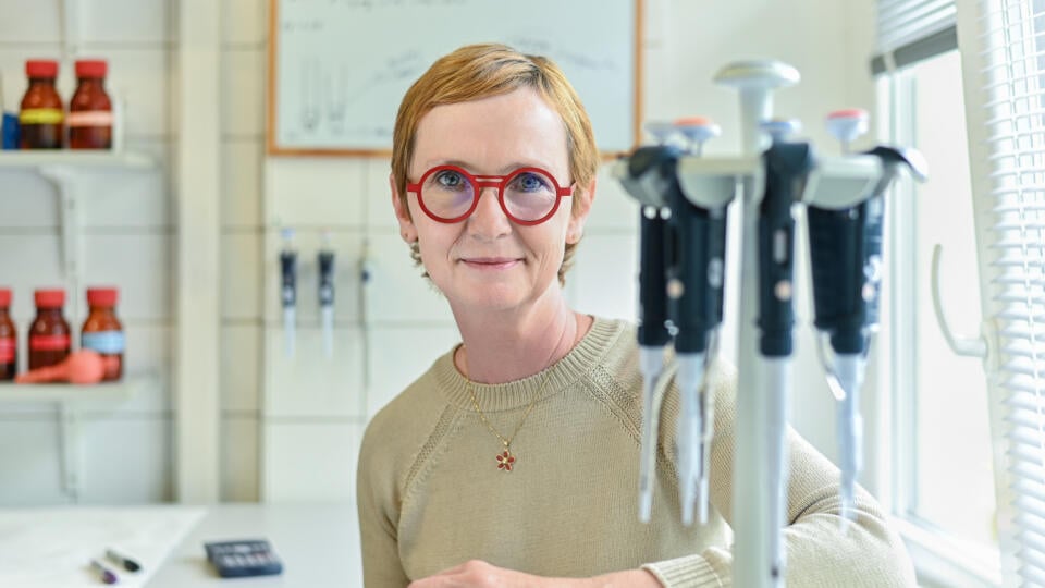 Výskumu jej pôvodcu, bacila Mycobacterium tuberculosis, sa venuje doc. RNDr. Katarína Mikušová, DrSc. na Katedre biochémie Prírodovedeckej fakulty Univerzity Komenského (UK) v Bratislave. 