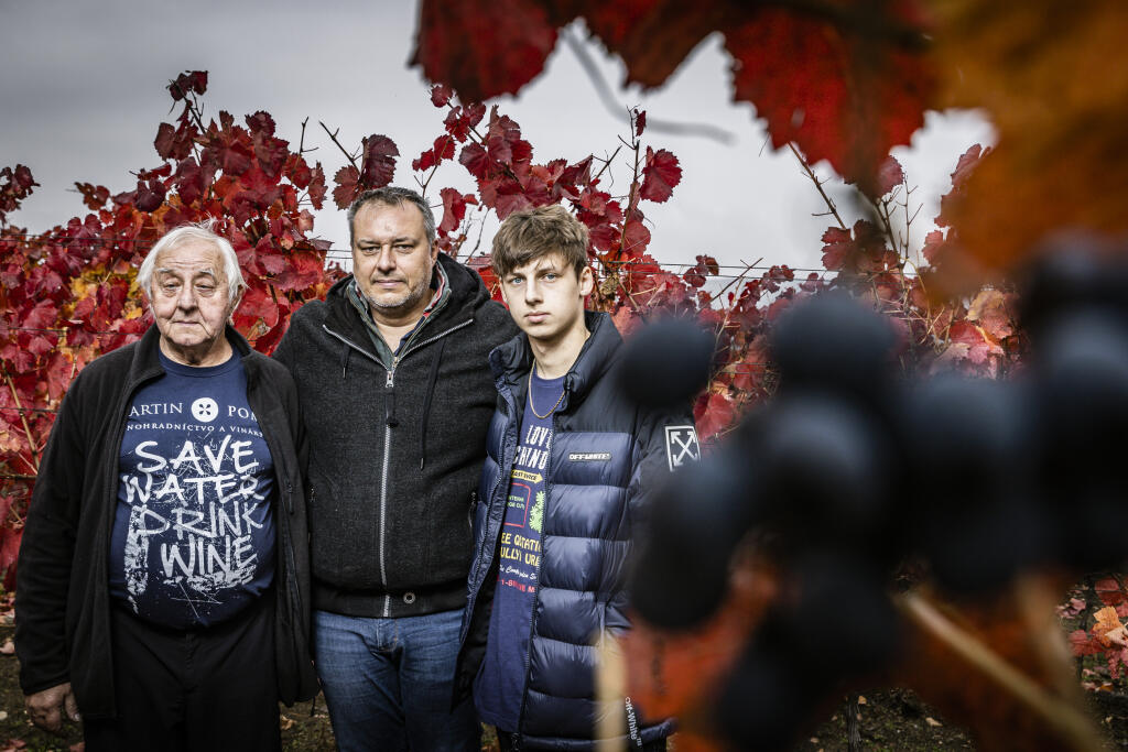 Na snímke vinár Martin Pomfy s otcom Ľudovítom a synom Matejom.
