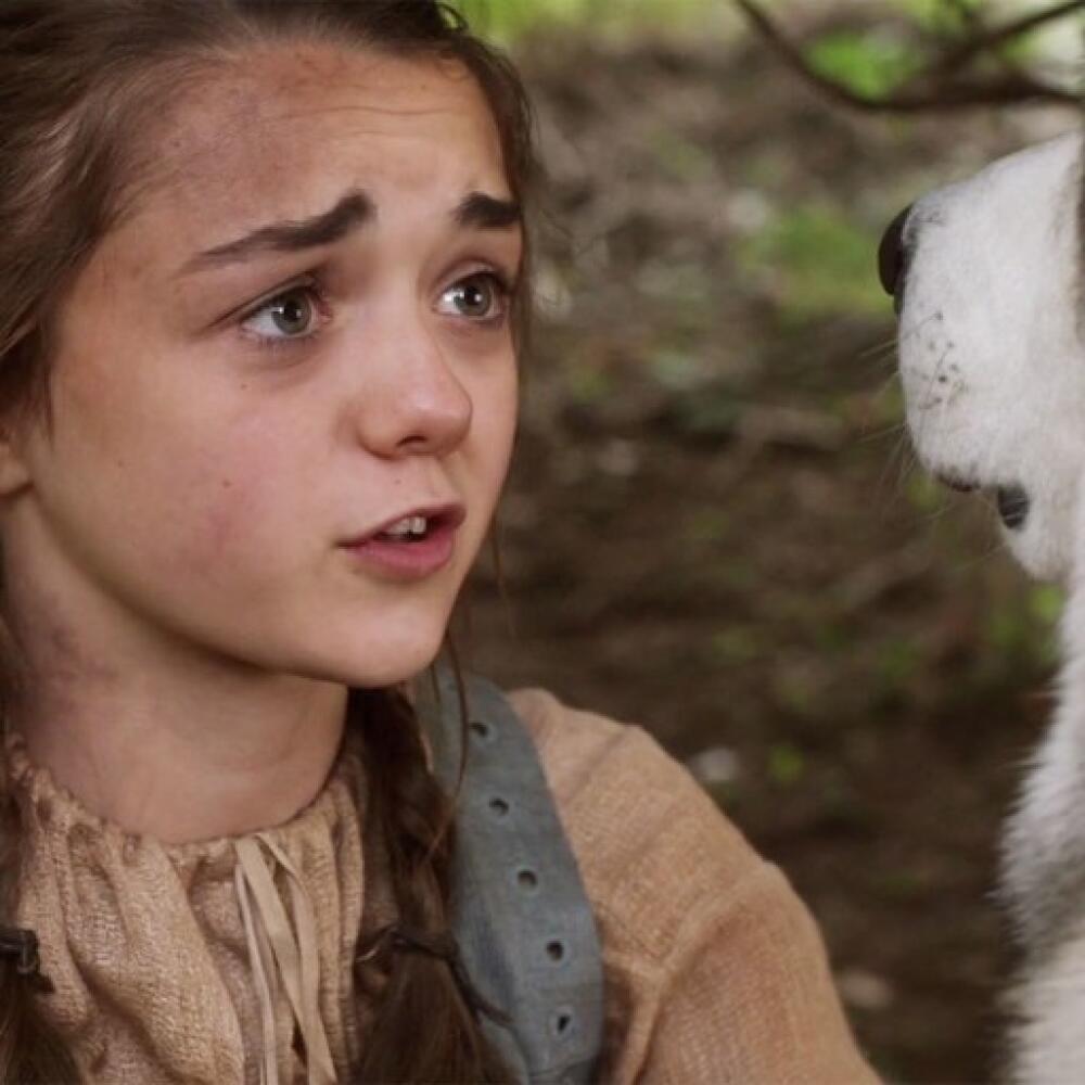 Arya a jej vlčica