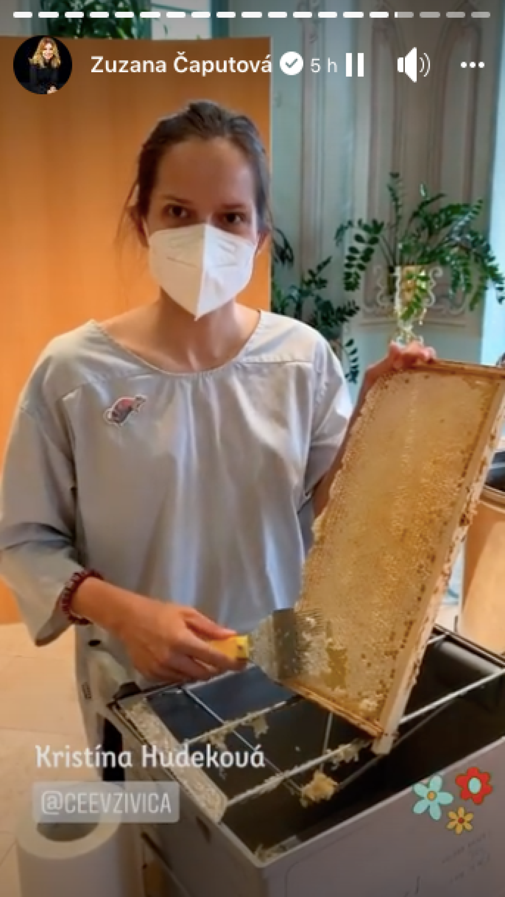 Po roku, odkedy sú v záhrade prezidentského paláca včely, pribudla aj nová včelia rodinka a takmer 50 kíl skvelého a kvalitného medu, pochválila sa Zuzana Čaputová.