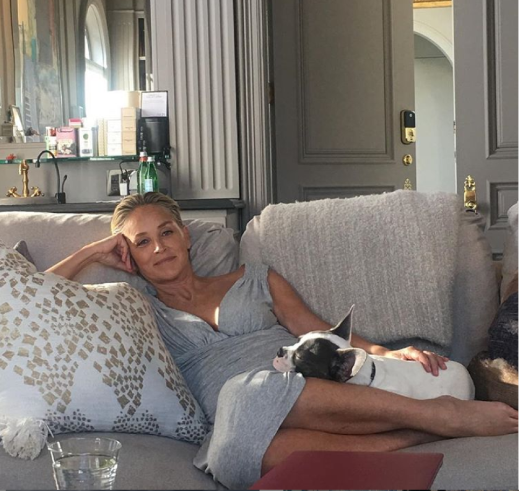 Sharon Stone a jej domáca pohodička.