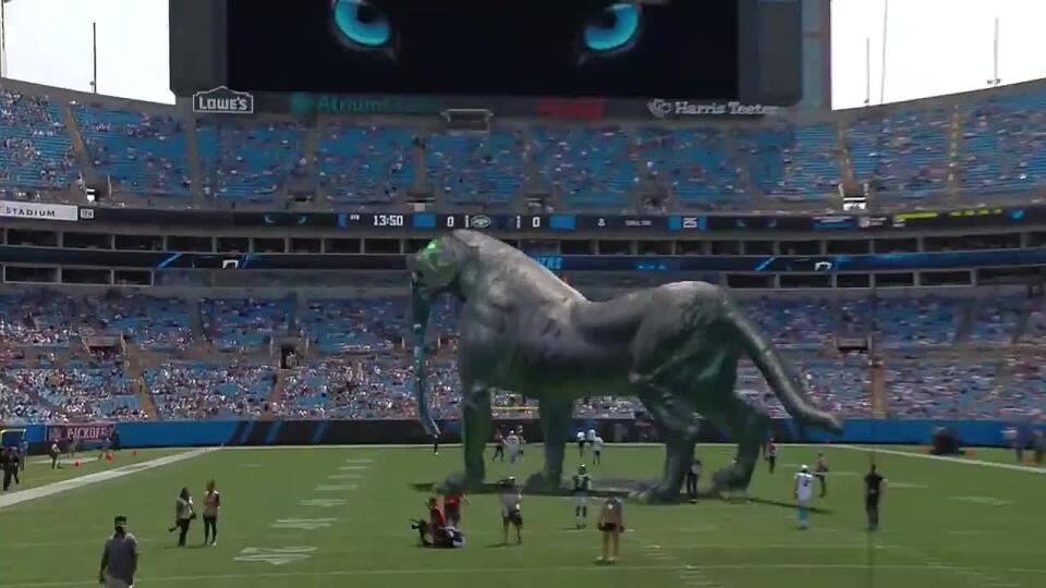 VIDEO Roztrhal vlajku súpera a fanúšikovia ostali v šoku: Na štadióne tímu NFL úradoval panter
