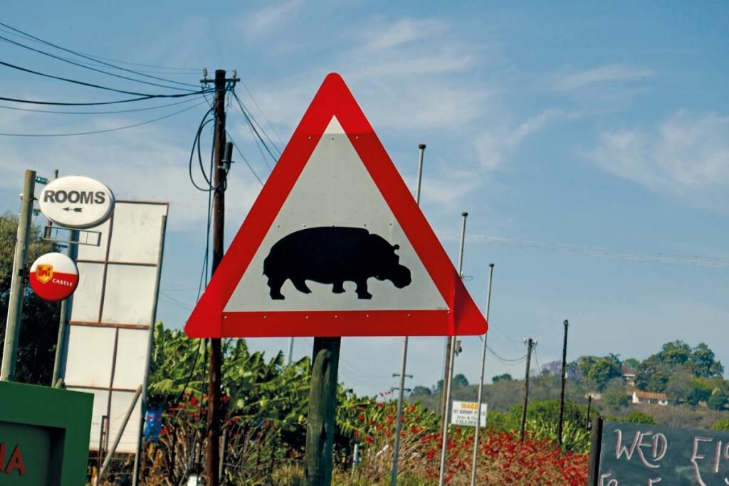 africké safari na vode aj na súši 2/6