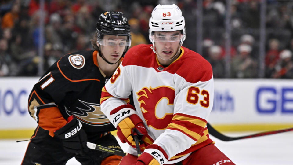 Slovenský hokejista Adam Ružička pred pár dňami v tíme Calgary Flames skončil.