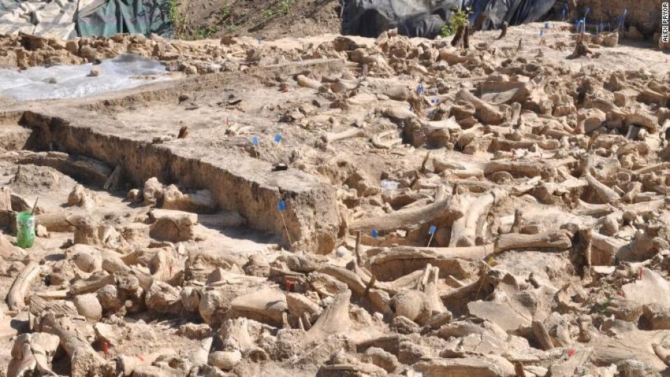 Archeológovia v Rusku objavili záhadnú stavbu postavenú z kostí mamutov, datovanú do obdobia spred 2000 rokov.