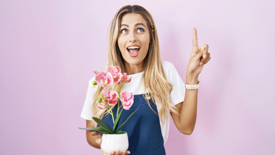 Young blonde woman wearing gardener apron holding plant smiling amazed and surprised and pointing up with fingers and raised arms. 