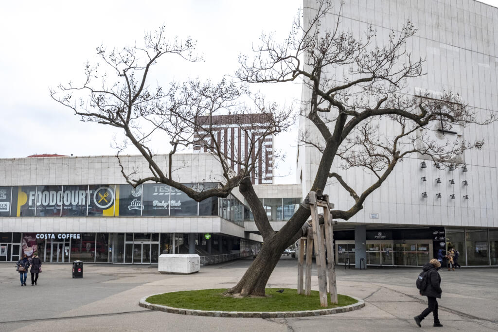 Kamenné námestie, Bratislava