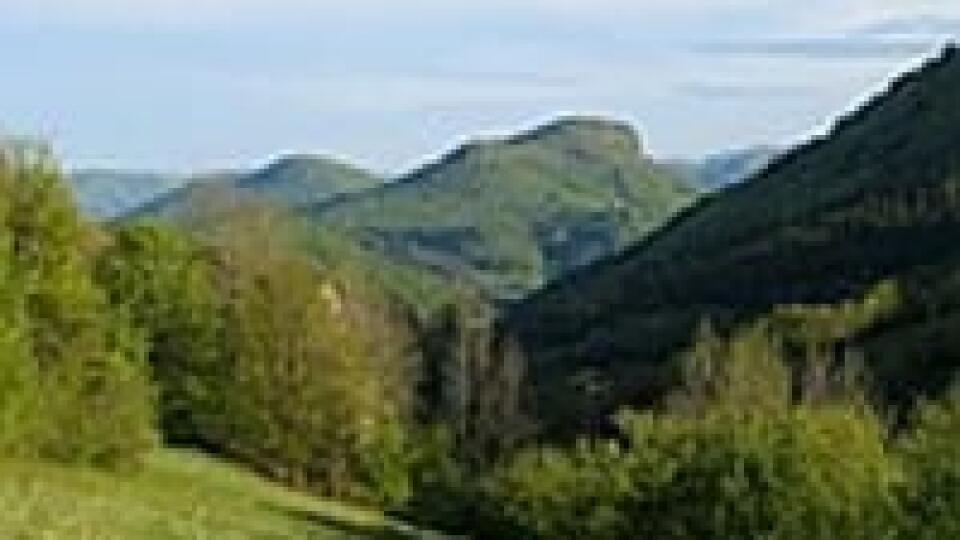 Archív