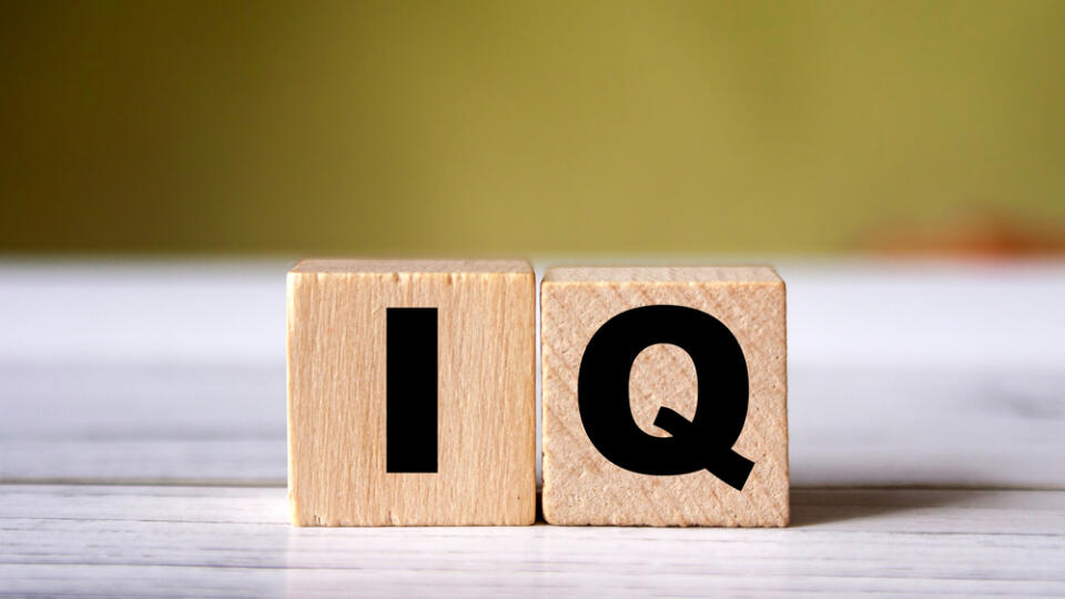 Iq,Word,Concept,On,Wooden,Cube.,Intelligence,Symbol.,Brain,Or