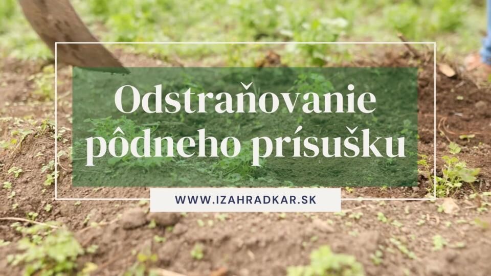 Prečo odstraňovať pôdny prísušok?