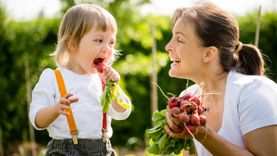 Little,Child,Eating,Freshly,Picked,Up,Red,Radish,,Smiling,Mother