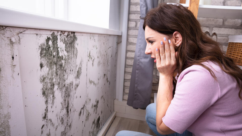 Side,View,Of,A,Shocked,Young,Woman,Looking,At,Mold