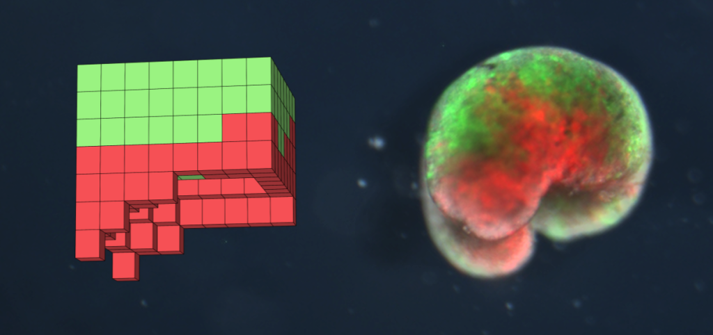 xenoboty