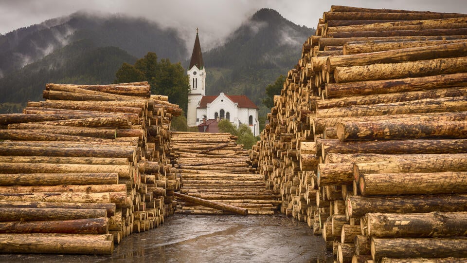 Rettenmeier Tatra Timber