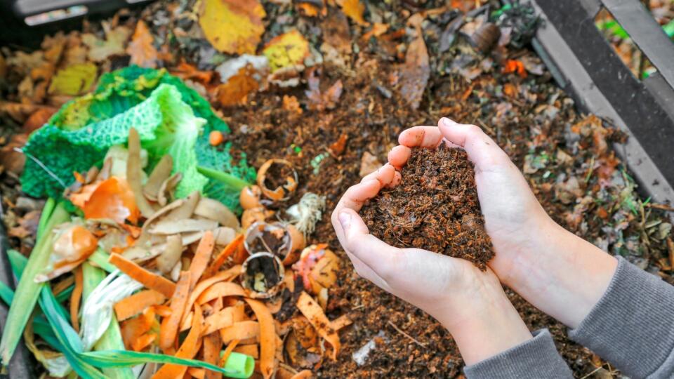 Odmenou za kompostovanie vám bude nielen úroda plná vitamínov a minerálov, ale taktiež krásne a zdravšie rastliny. Okrem toho prispejete k ochrane životného prostredia.