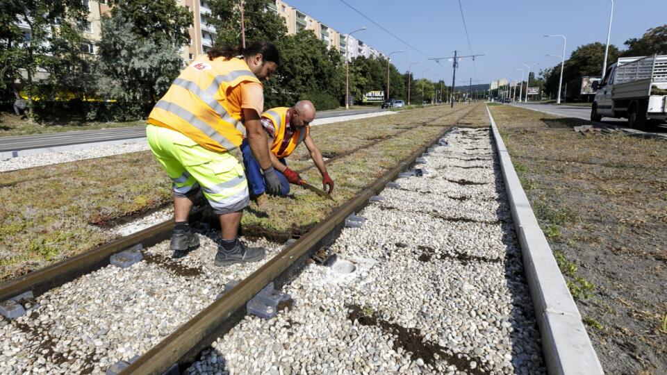 Úprava zmodernizovanej trate električiek v Karlovej Vsi