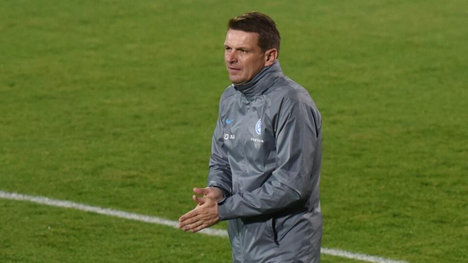 Na snímke tréner slovenskej futbalovej reprezentácie Štefan Tarkovič