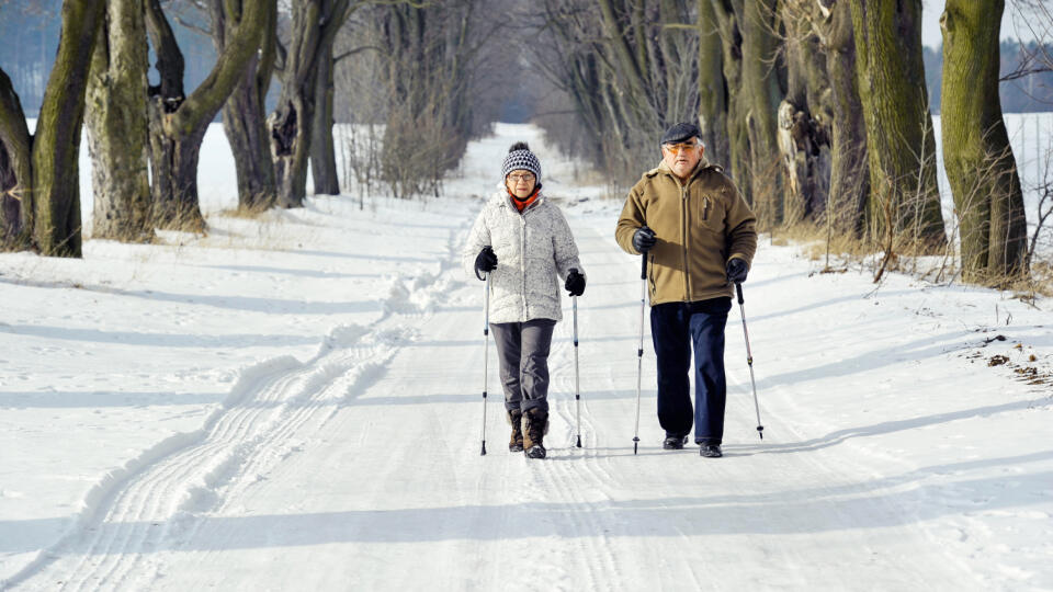 Najnovší výskum hovorí, že Nordic Walking pomáha aj pri udržaní kognitívnych schopností. Tak prečo to neskúsiť...