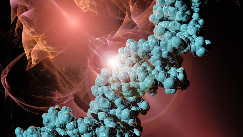 MOLEKULY DNA
Tento prírodný polymér predstavuje užitočný stavebný prvok nanotechnológií.