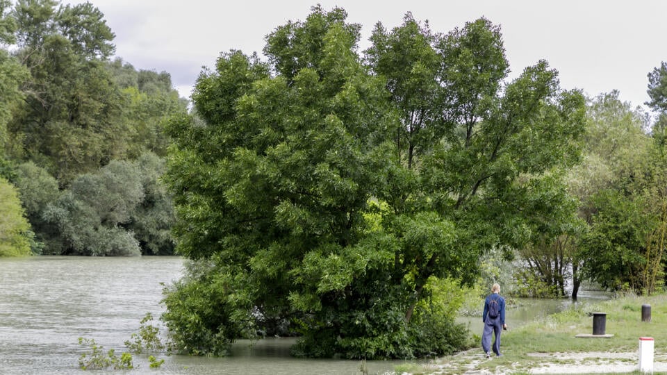 Na snímke zvýšený stav rieky Morava pod hradom Devín v Bratislave 30. augusta 2023. FOTO TASR - Dano Veselský