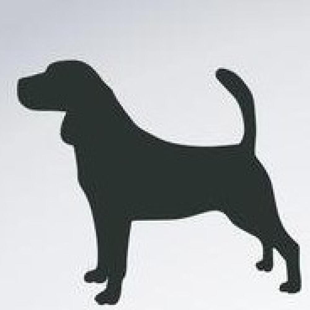 Bígel