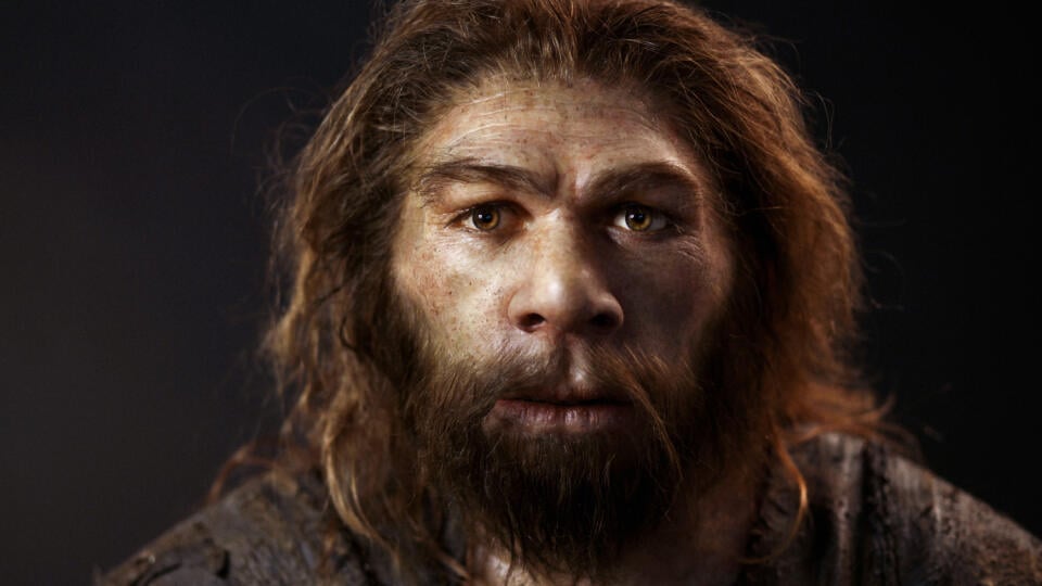 Neandertálsky muž
Navonok nám boli neandertálci veľmi podobní.