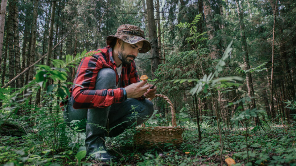 A,Young,Male,Mushroom,Picker,With,A,Large,Basket,Looks