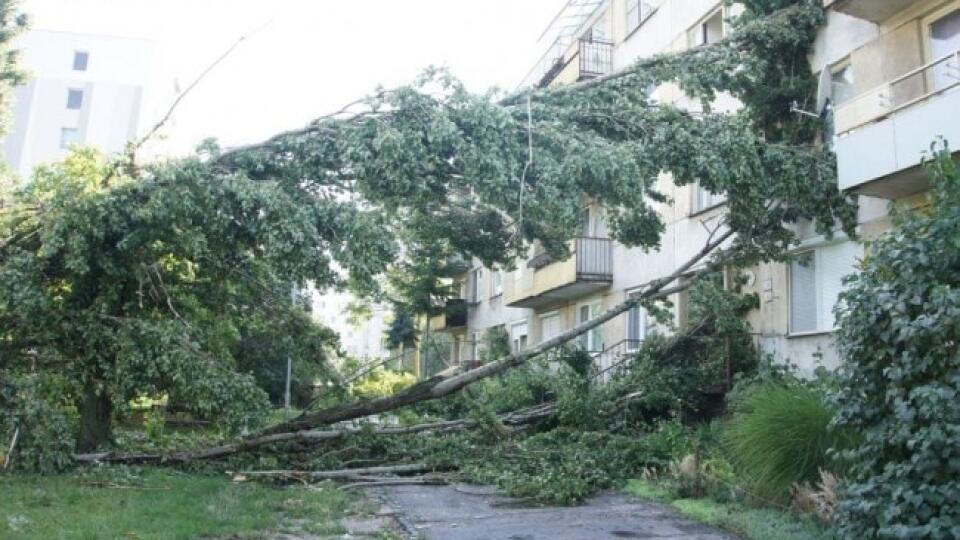 Polámané stromy a odtrhnutá strecha: Aj také silné môžu byť búrky na Slovensku!