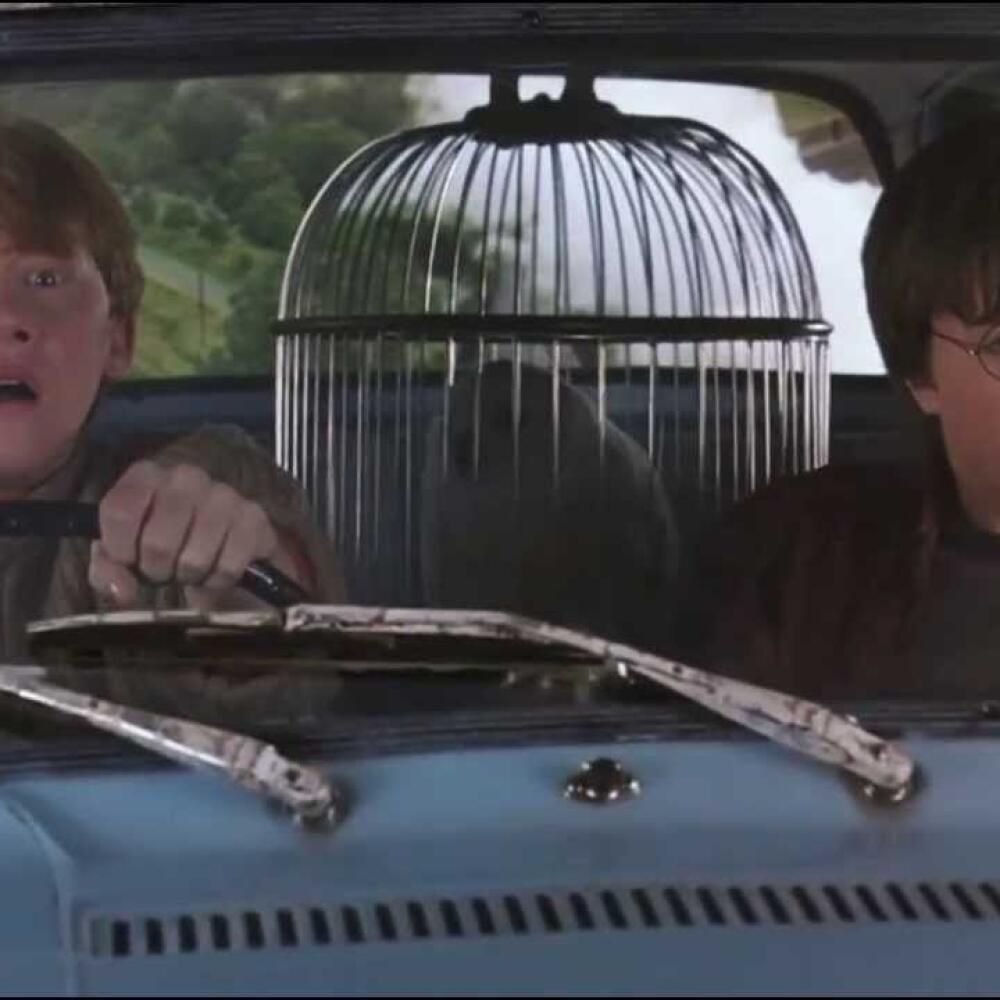 Harry a Ron