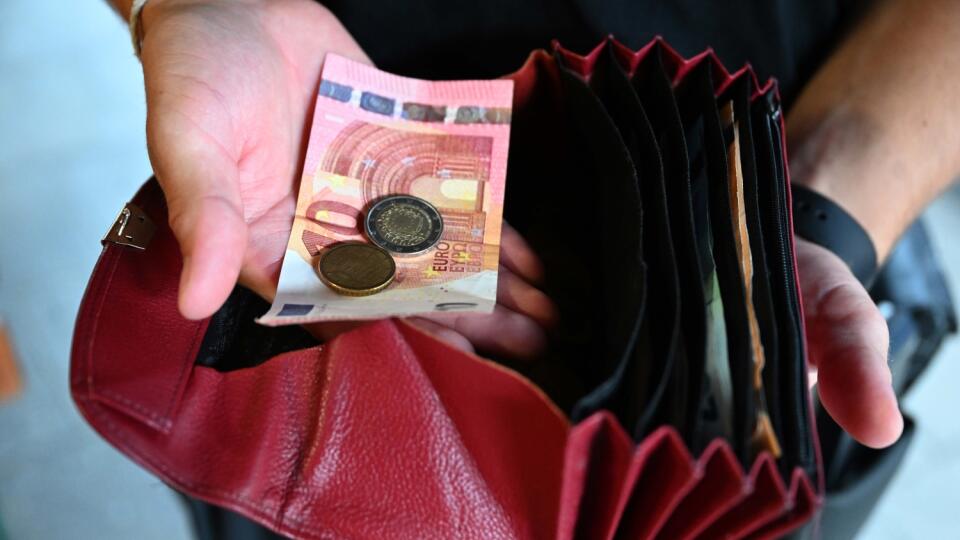 Purse - waiter