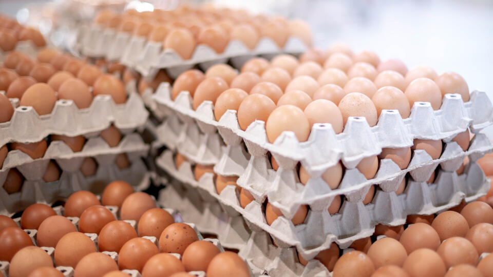 Full,Fresh,Eggs,Of,Paper,Tray,From,Hen,Farm,In