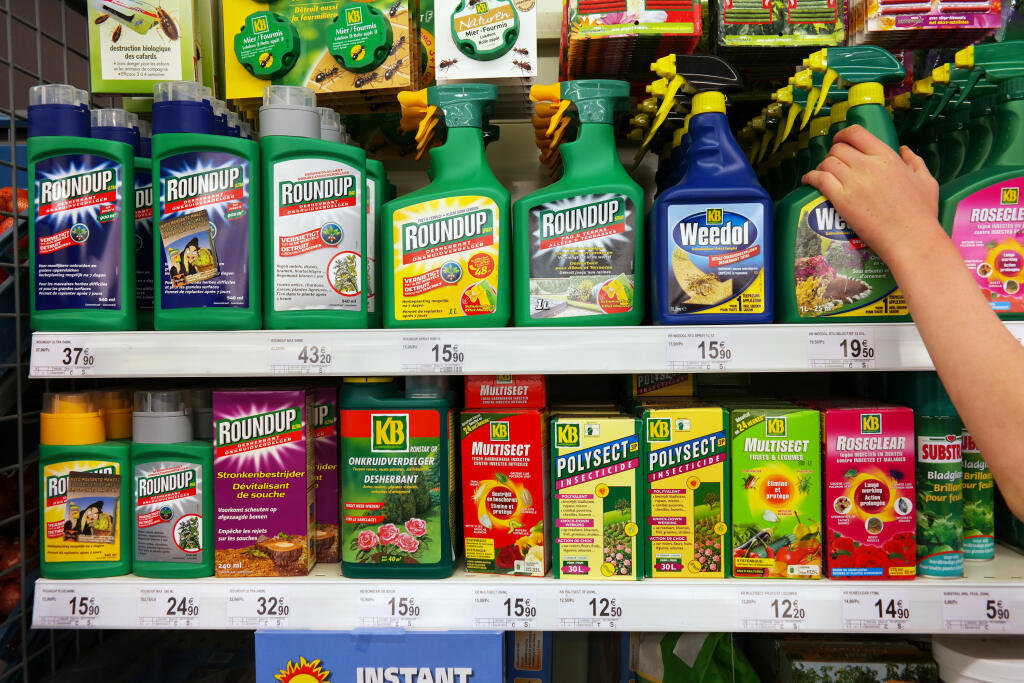 Regály s rôznymi pesticídmi v supermarkete Carrefour. Roundup je obchodná značka herbicídu obsahujúceho glyfosát, vyrobený spoločnosťou Monsanto.