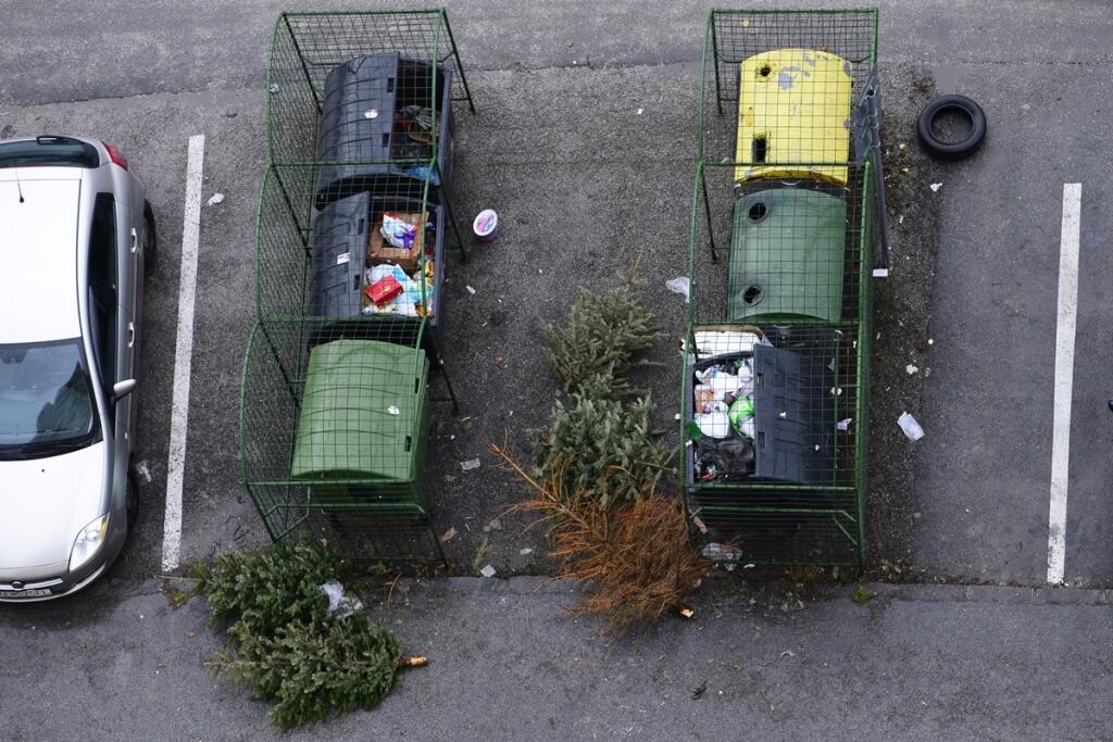 Vianočné stromčeky po sviatkoch
