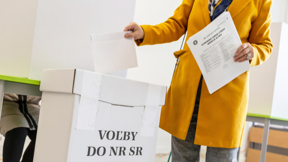 Ilustračné snínky k voľbám do Národnej rady Slovenskej republiky 29.2.2020