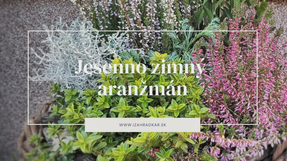 Jesenno-zimný aranžmán.