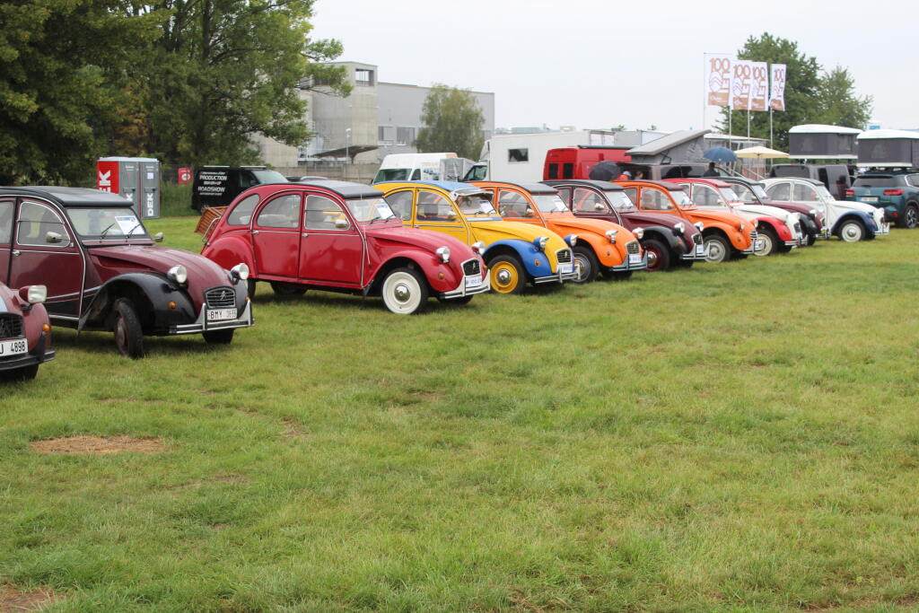 Kačice na oslave 100 rokov značky Citroen.