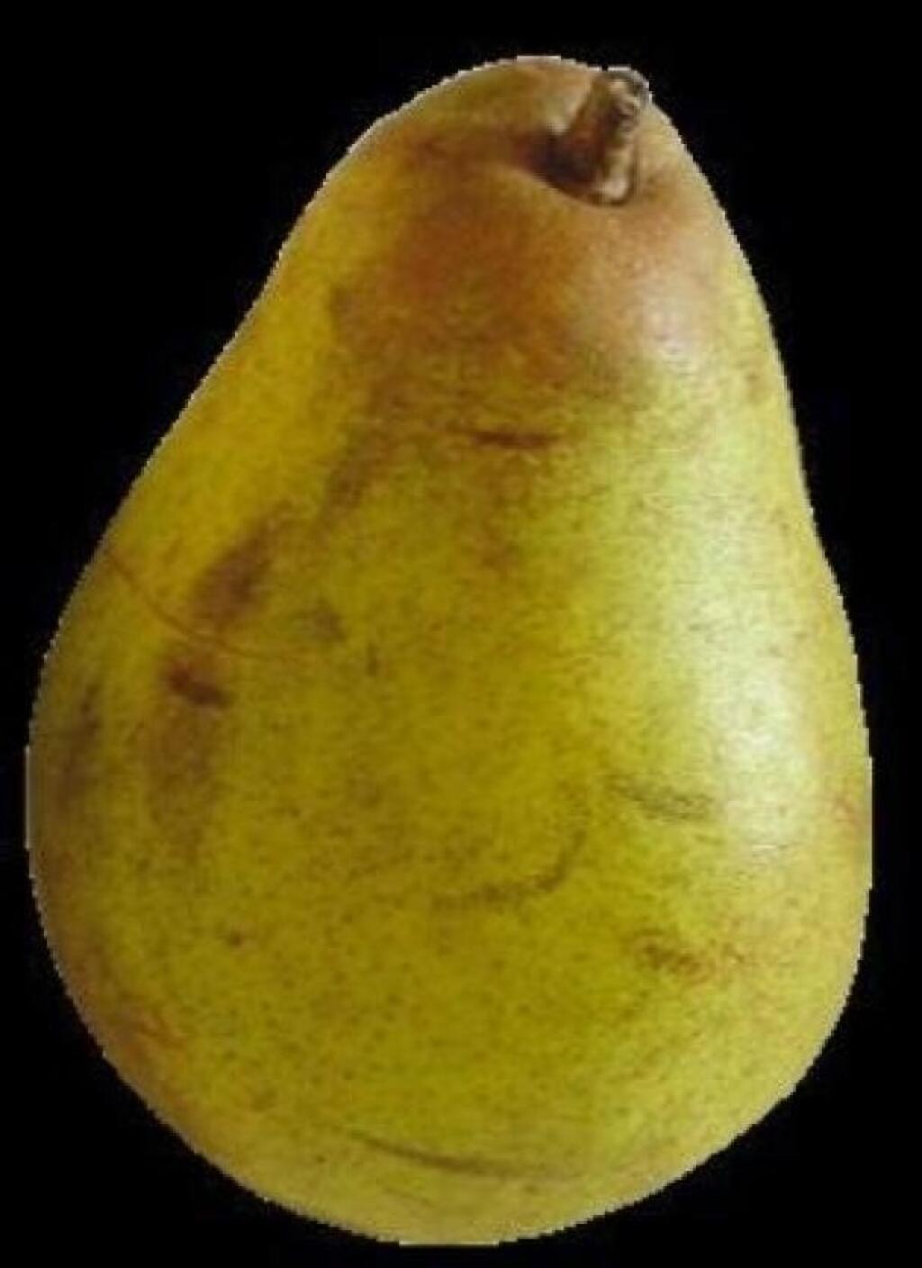Odroda ‘Dekanka Robertova’