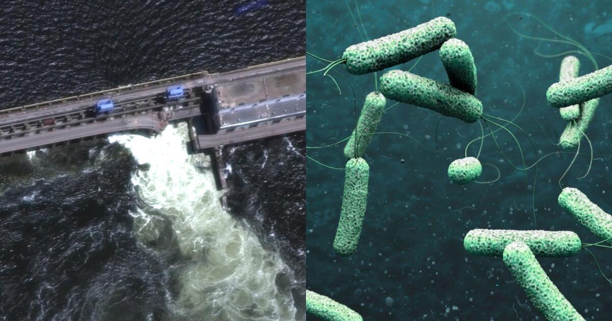 Des bactéries ont été découvertes dans les zones inondées d’Ukraine !